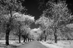 Road to IR